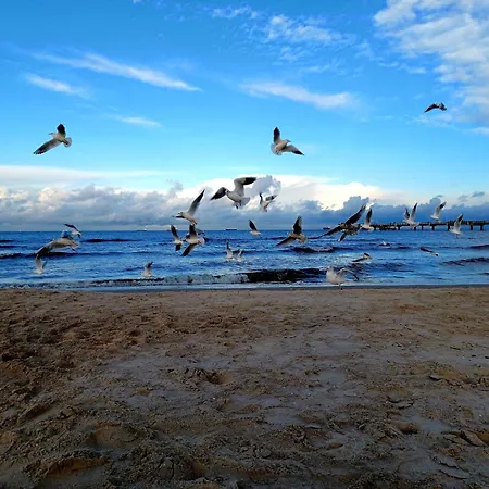 Ahorn - Ulenhoef Apartment